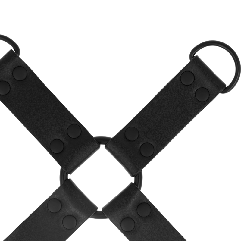 INTENSE - FETISH HOG TIE – Bild 5